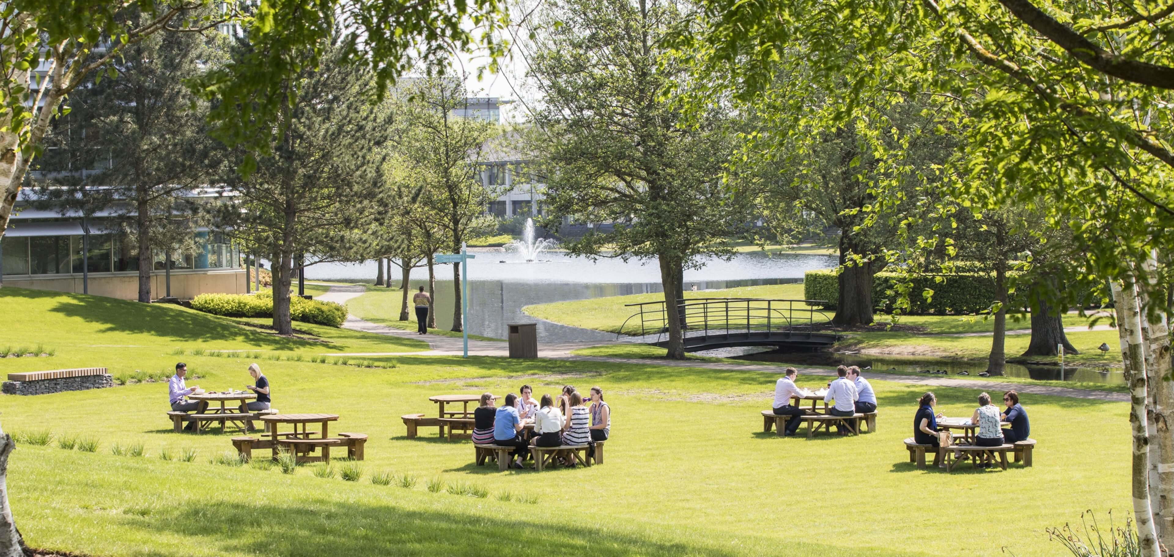The café terrace and park landscape