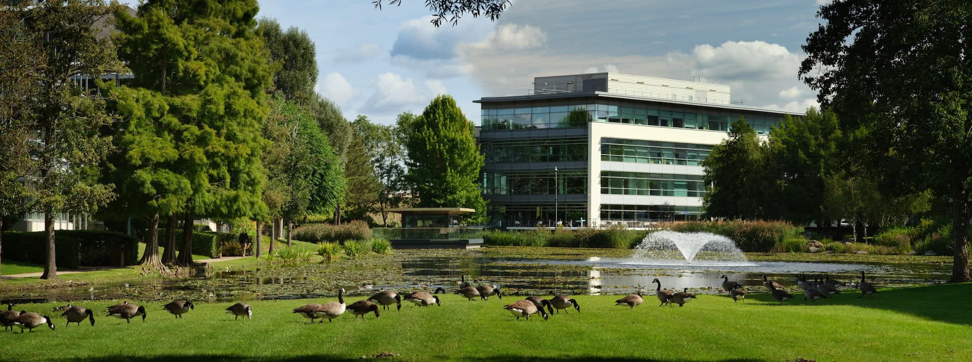 A building across the lake at Arlington Park