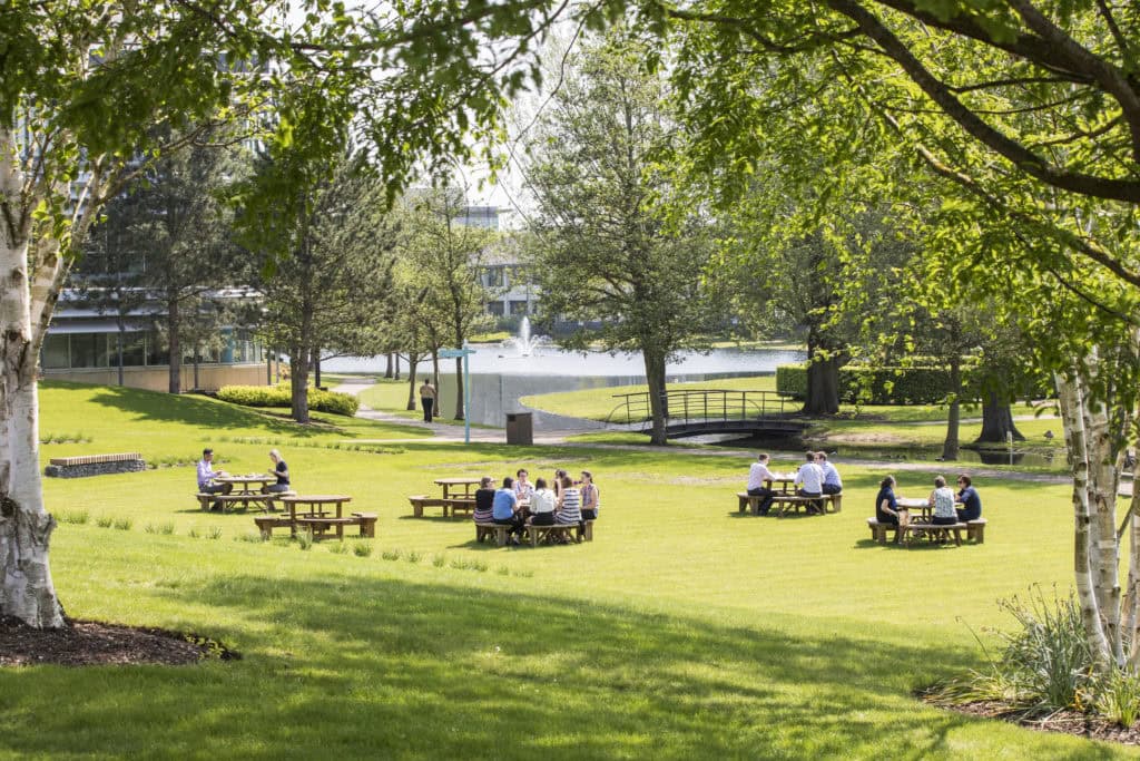 The lawn and outdoor seating at Arlington Park