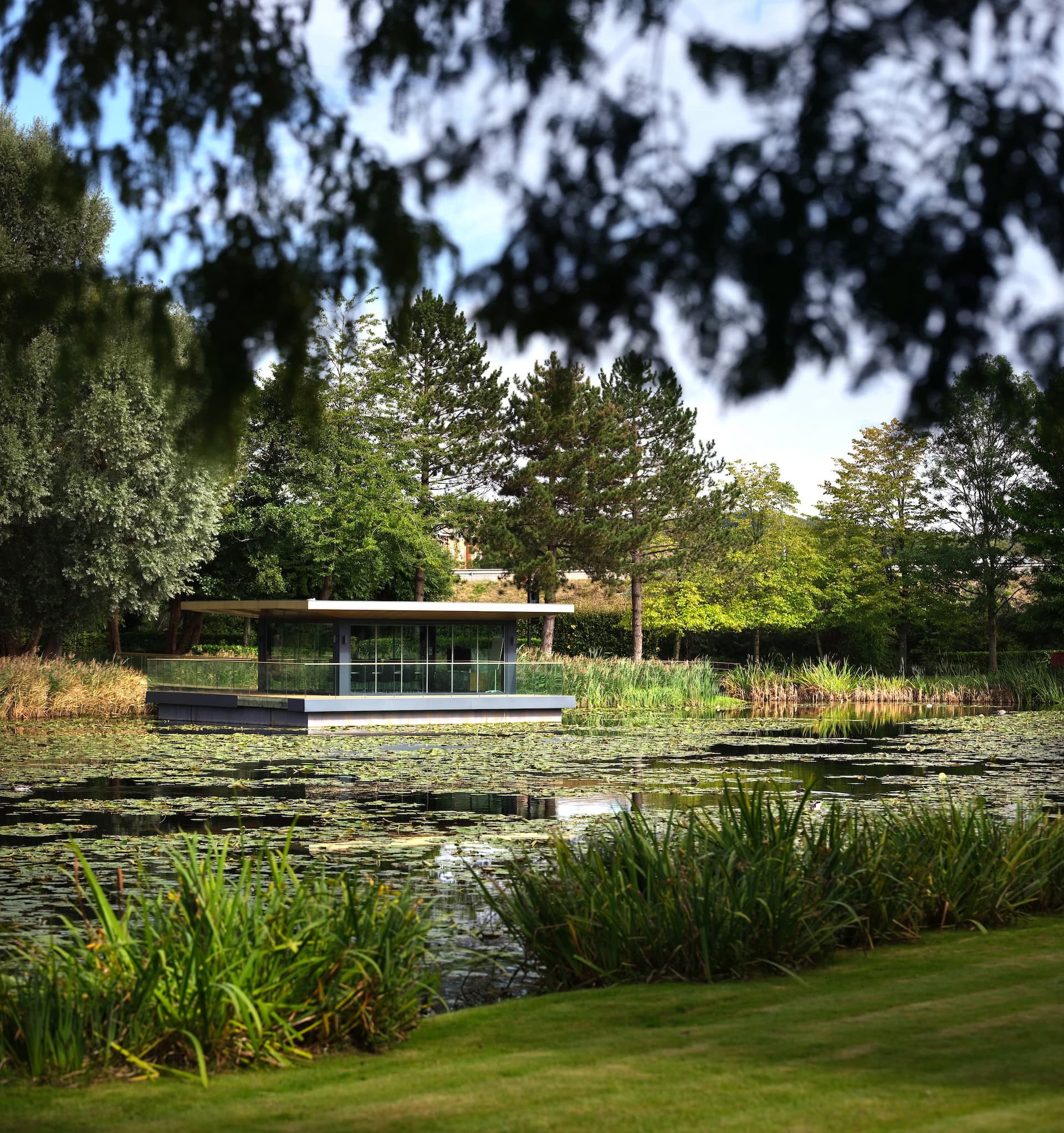Mature planting surrounding a lake at Arlington Park