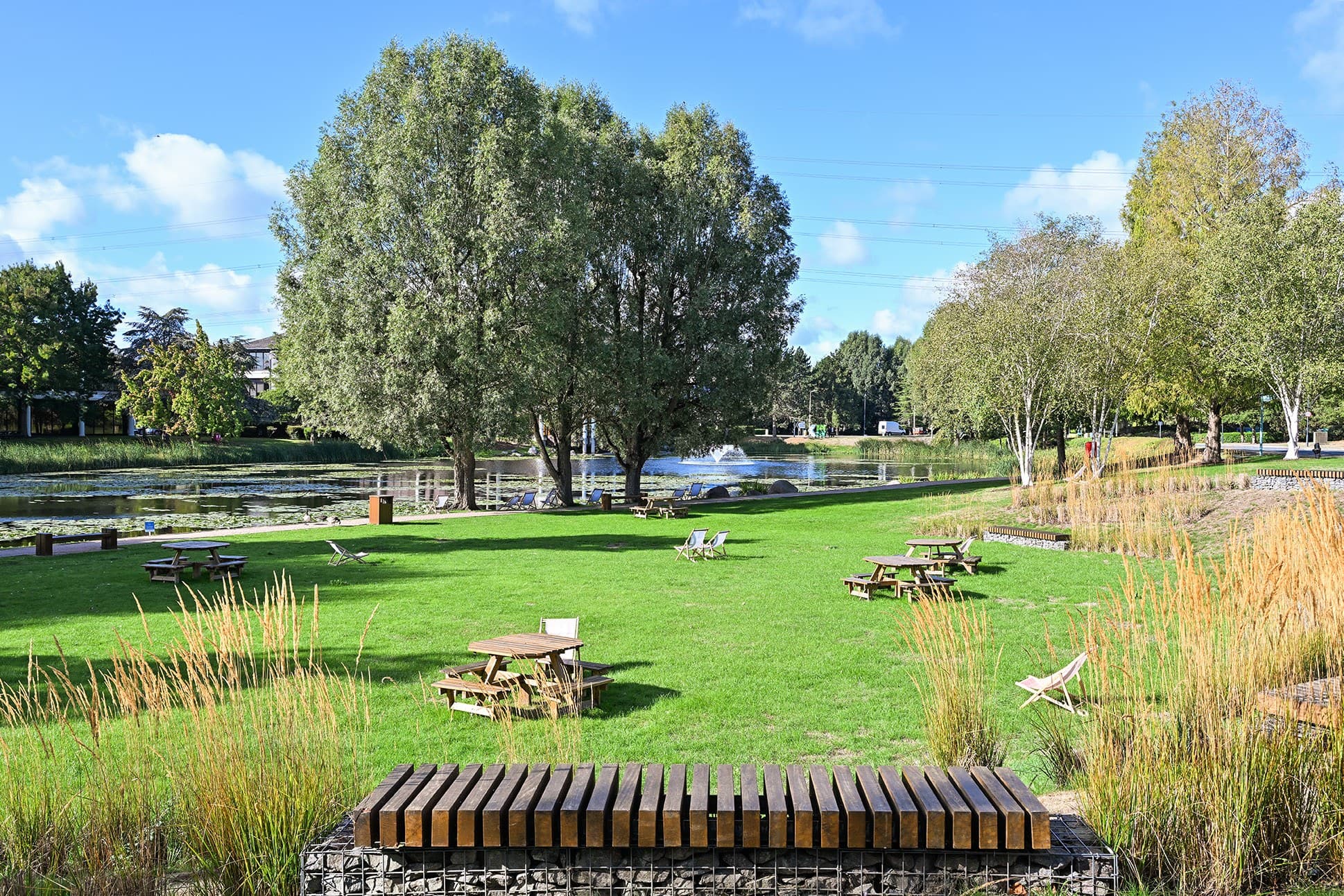 Lakeside lawn and mature planting at Arlington Park