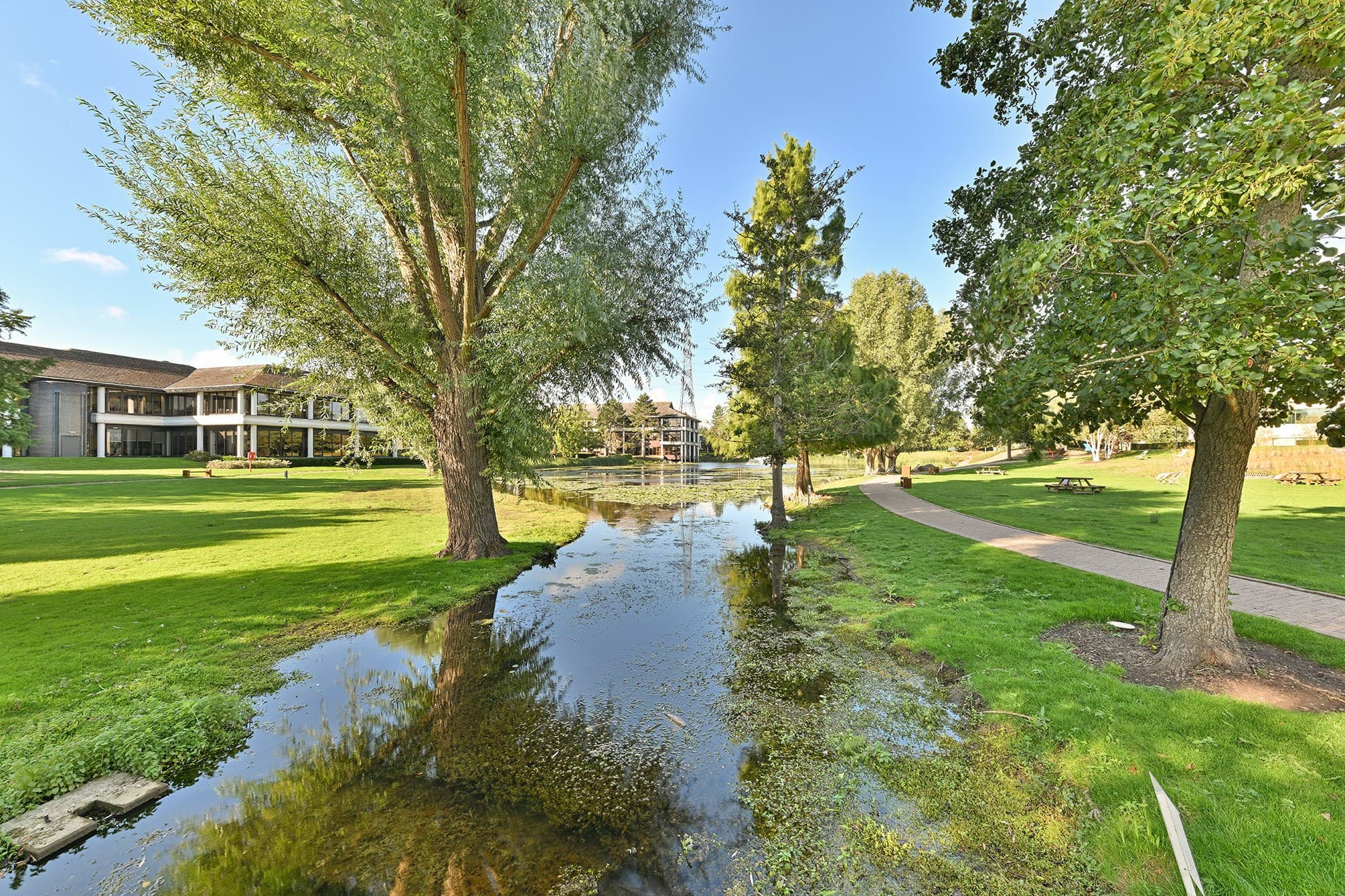 Mature planting surrounding a lake at Arlington Park
